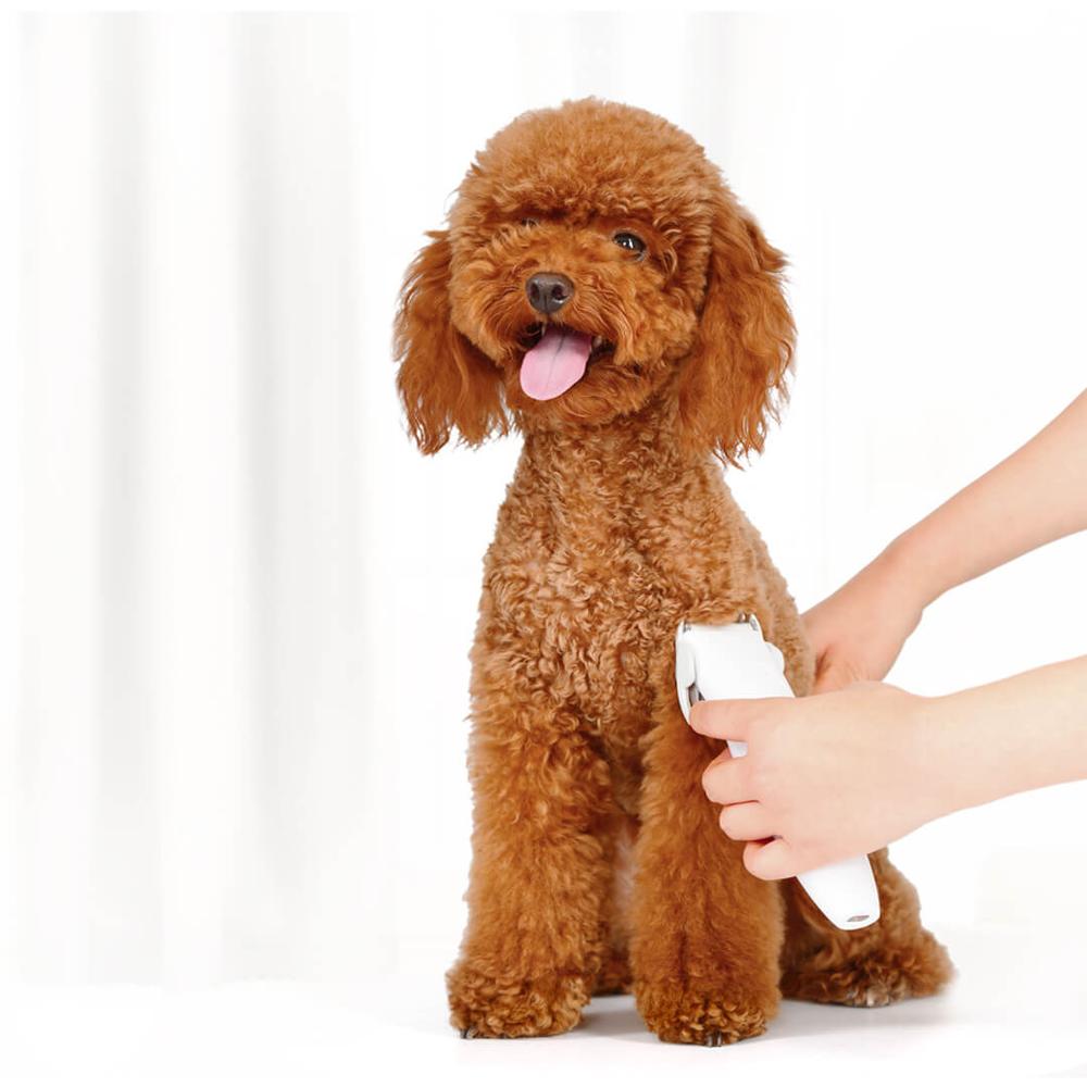 Pet shaver - Premium 0 from My Needy Pets - Just $16.99! Shop now at My Needy Pets