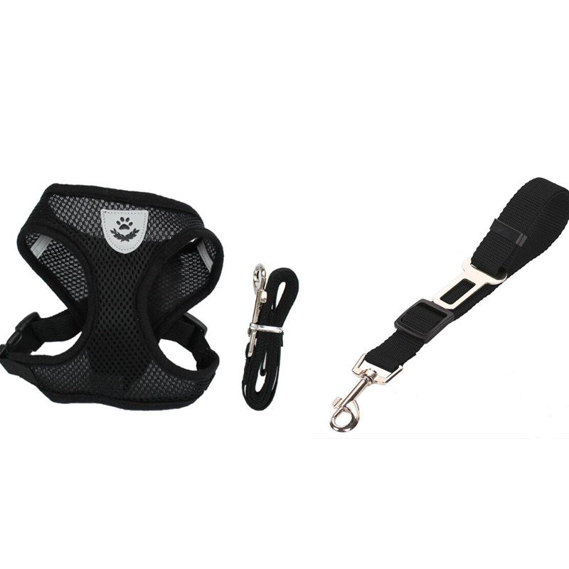 Pet Car Seat Belt Pet Leash - Premium 0 from My Needy Pets - Just $12.95! Shop now at My Needy Pets