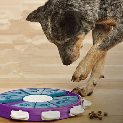 Dog educational toys - Premium 0 from My Needy Pets - Just $19.79! Shop now at My Needy Pets