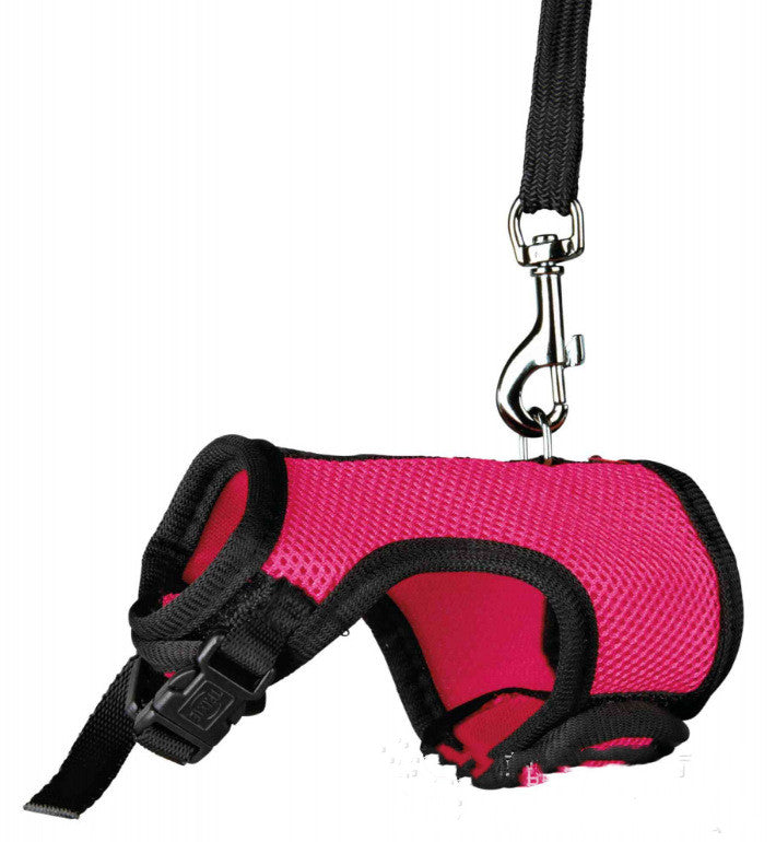 Small pet leash - Premium 0 from My Needy Pets - Just $9.99! Shop now at My Needy Pets