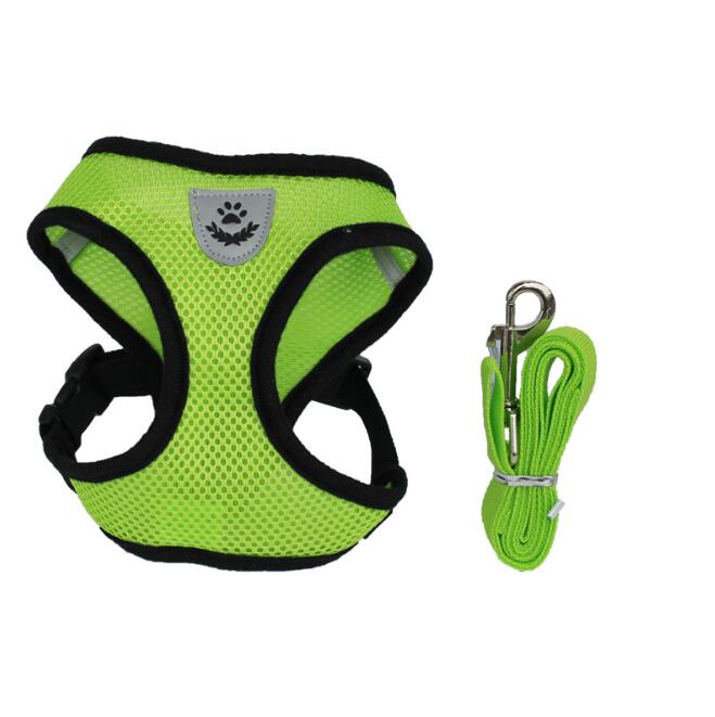 Pet Car Seat Belt Pet Leash - Premium 0 from My Needy Pets - Just $12.95! Shop now at My Needy Pets