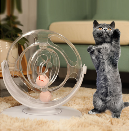 Cat turntable educational toys - Premium 0 from Pawsnplayboutique Dba My Needy Pets - Just $24.65! Shop now at My Needy Pets