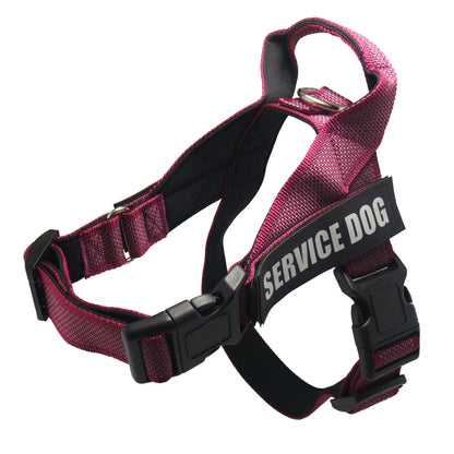 Personalize Pet harness - Premium 7 from My Needy Pets - Just $10.54! Shop now at My Needy Pets