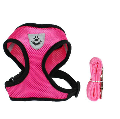 Pet Car Seat Belt Pet Leash - Premium 0 from My Needy Pets - Just $12.95! Shop now at My Needy Pets