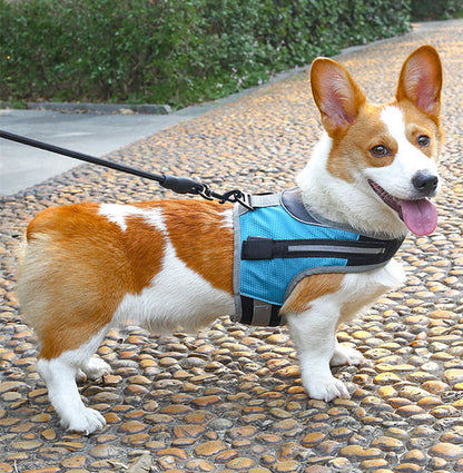 Pet dog leash - Premium 0 from My Needy Pets - Just $8.94! Shop now at My Needy Pets