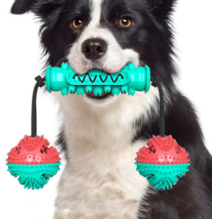 Rubber Bone Dog Chew Toy & Toothbrush for Teeth Cleaning - Premium 0 from Pawsnplayboutique Dba My Needy Pets - Just $9.79! Shop now at My Needy Pets