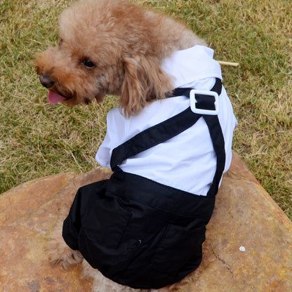 Pet suit trousers - Premium 0 from My Needy Pets - Just $2.92! Shop now at My Needy Pets