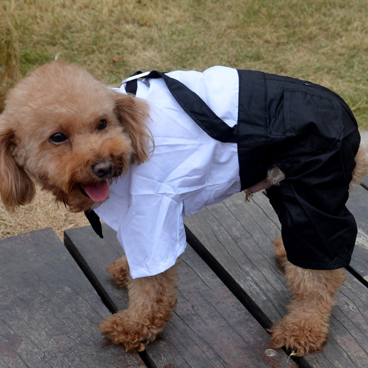 Pet suit trousers - Premium 0 from My Needy Pets - Just $2.92! Shop now at My Needy Pets