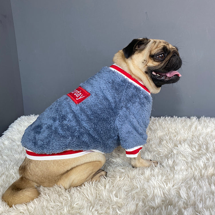 Pet sweater - Premium 0 from My Store - Just $21.98! Shop now at My Needy Pets