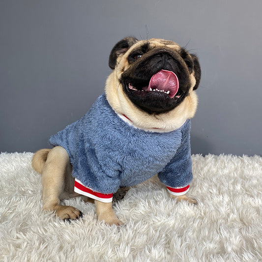 Pet sweater - Premium 0 from My Store - Just $21.98! Shop now at My Needy Pets