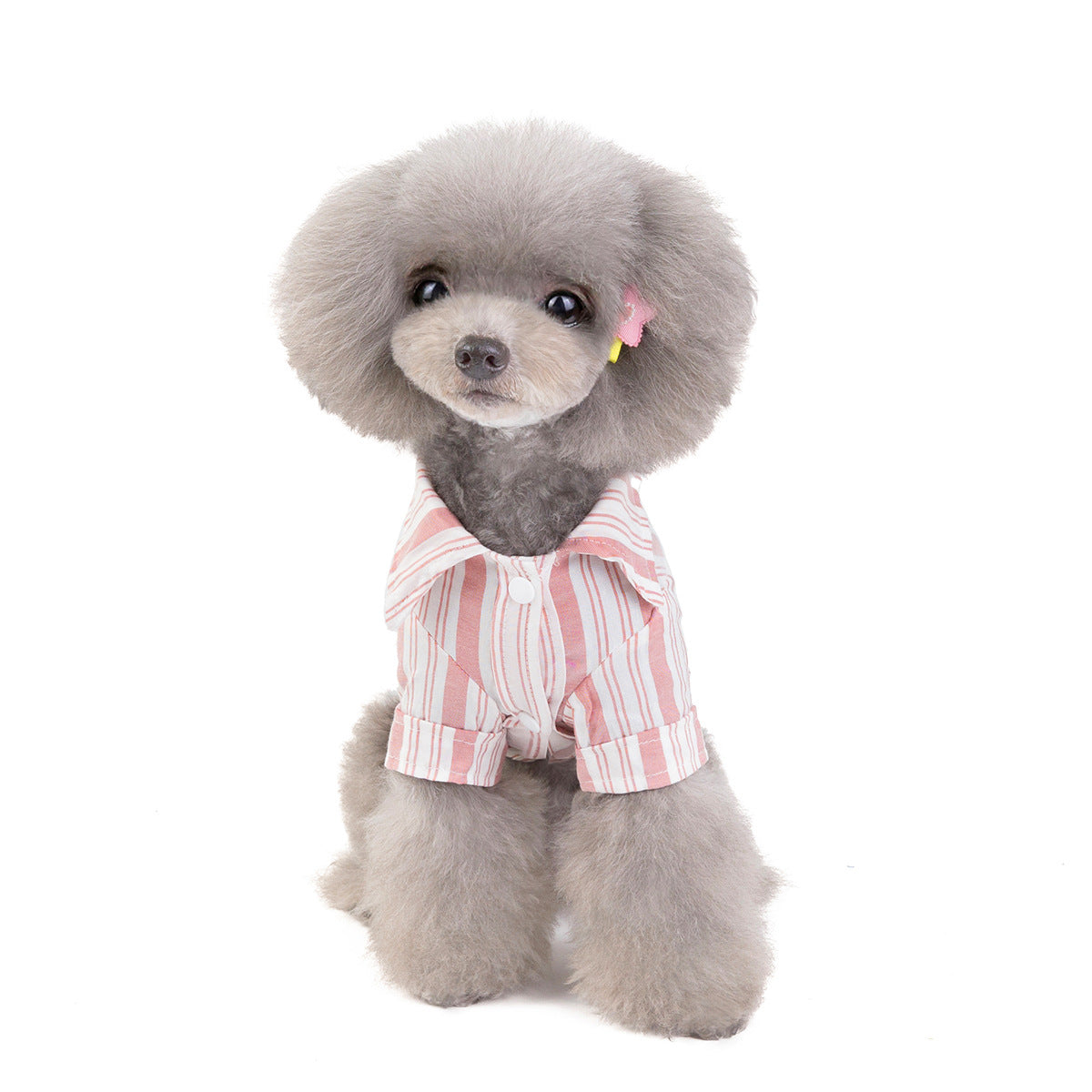 Dog Cat Clothes Pet Clothing Pet Shirt - Premium 0 from Pawsnplayboutique Dba My Needy Pets - Just $15.99! Shop now at My Needy Pets