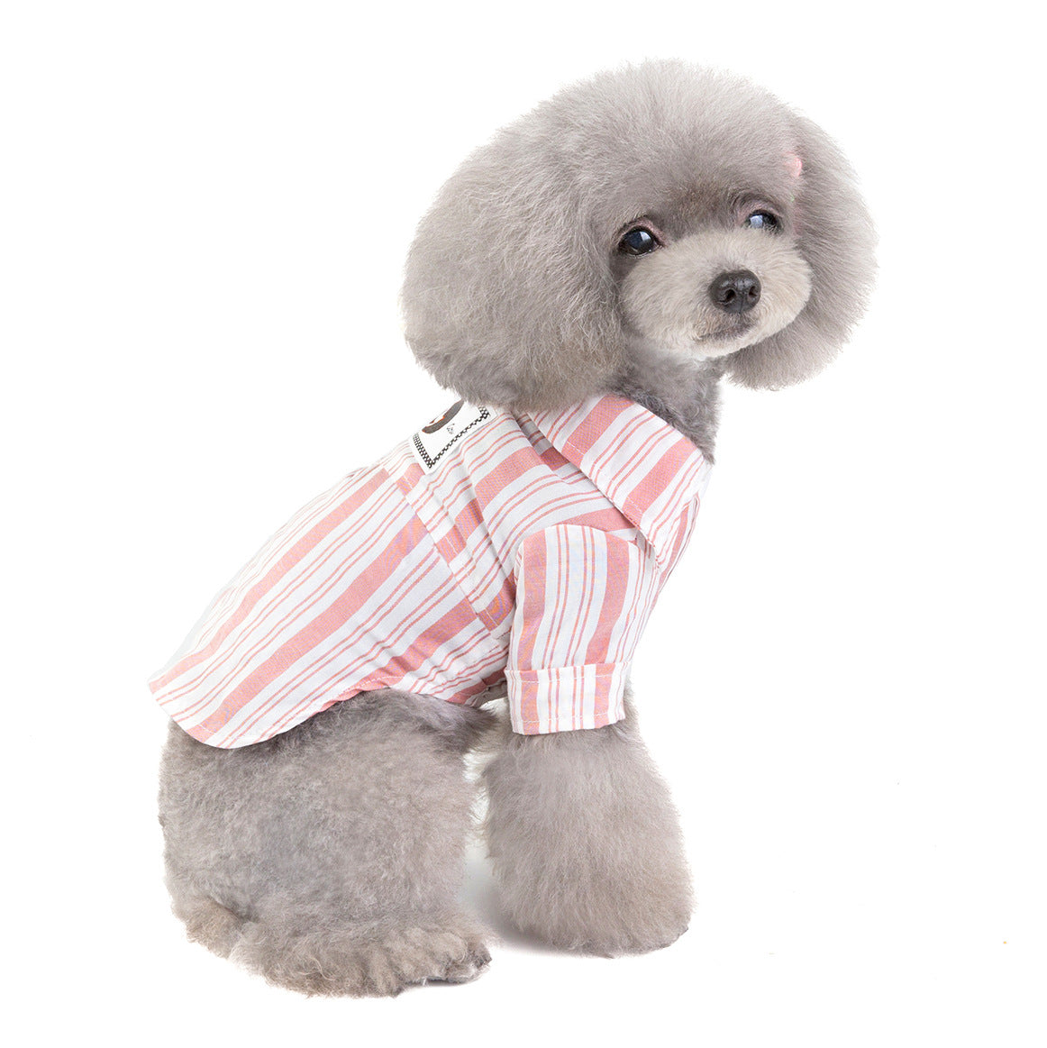 Dog Cat Clothes Pet Clothing Pet Shirt - Premium 0 from Pawsnplayboutique Dba My Needy Pets - Just $15.99! Shop now at My Needy Pets