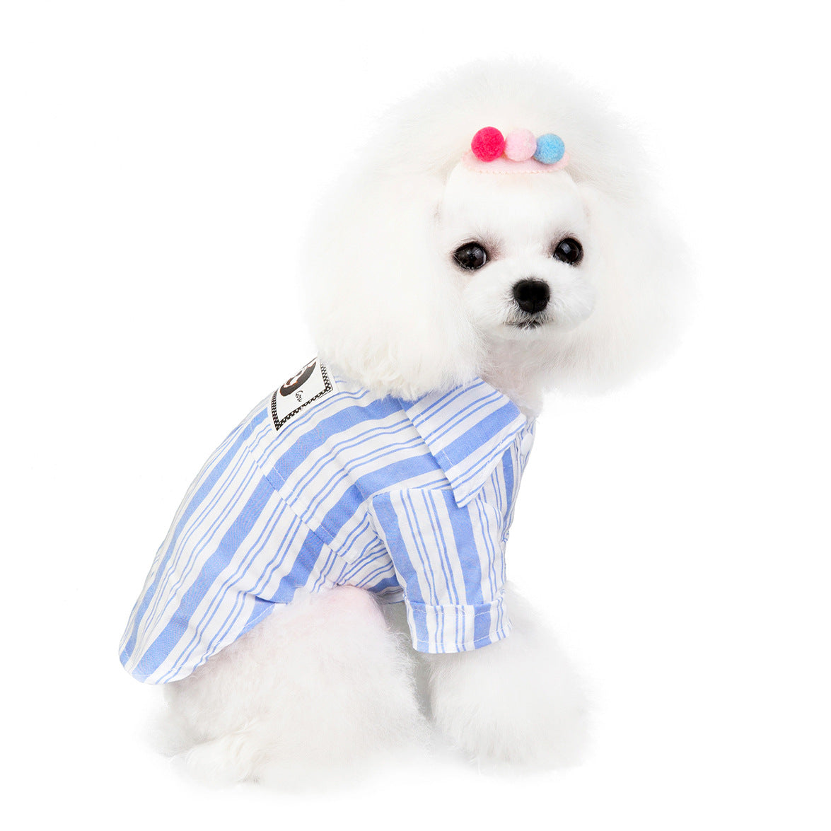 Dog Cat Clothes Pet Clothing Pet Shirt - Premium 0 from Pawsnplayboutique Dba My Needy Pets - Just $15.99! Shop now at My Needy Pets