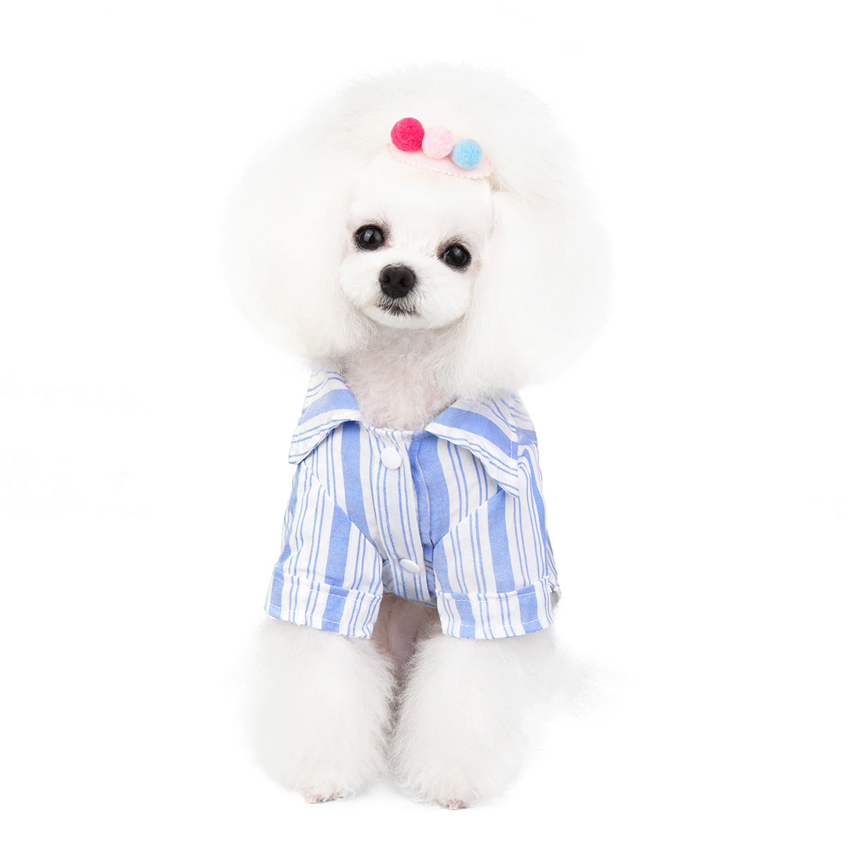 Dog Cat Clothes Pet Clothing Pet Shirt - Premium 0 from Pawsnplayboutique Dba My Needy Pets - Just $15.99! Shop now at My Needy Pets