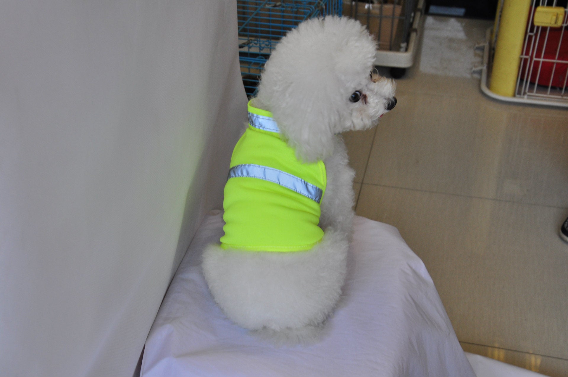 Summer Pet Clothing Dog Reflective Clothing Work Dog Safety Clothing - Premium 0 from My Store - Just $11.99! Shop now at My Needy Pets