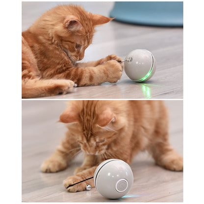 Colorful LED Laser Funny Cat Ball - Premium 0 from My Needy Pets - Just $28.95! Shop now at My Needy Pets