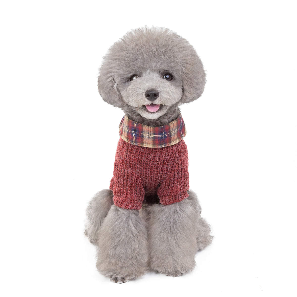 Pet Clothing Academy Wind Dogs Cats Out Clothing - Premium 0 from My Store - Just $18.95! Shop now at My Needy Pets