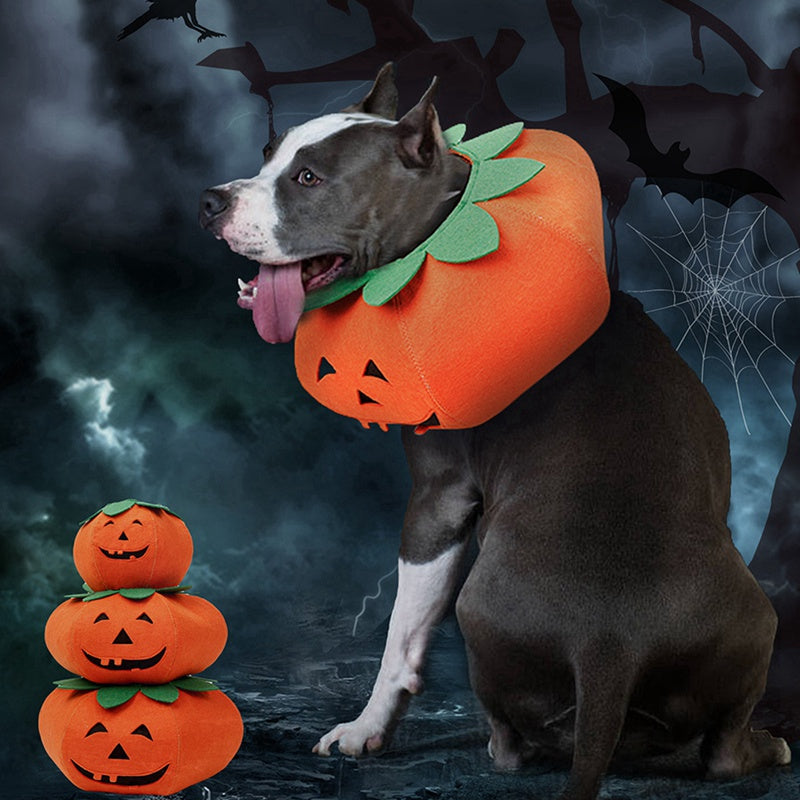 Pet Halloween Pumpkin Collars Cute Pet Cosplay Accessories - Premium 0 from My Needy Pets - Just $3.32! Shop now at My Needy Pets