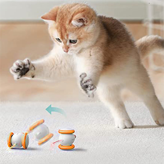 Electric Intelligent Teasing Cat Charging Toys - Premium 0 from Pawsnplayboutique Dba My Needy Pets - Just $36.21! Shop now at My Needy Pets