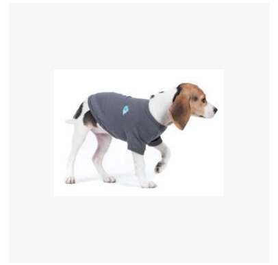 Pet Clothing Dog Vest Two-legged Clothing - Premium 0 from My Store - Just $27.95! Shop now at My Needy Pets