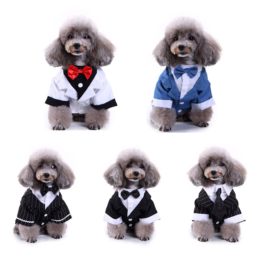 Pet dog suit - Premium 0 from My Needy Pets - Just $4.90! Shop now at My Needy Pets