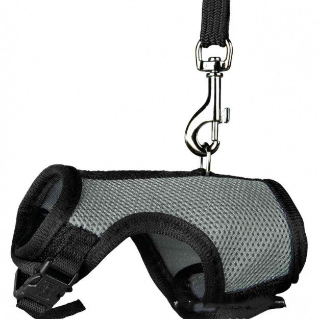 Small pet leash - Premium 0 from My Needy Pets - Just $9.99! Shop now at My Needy Pets