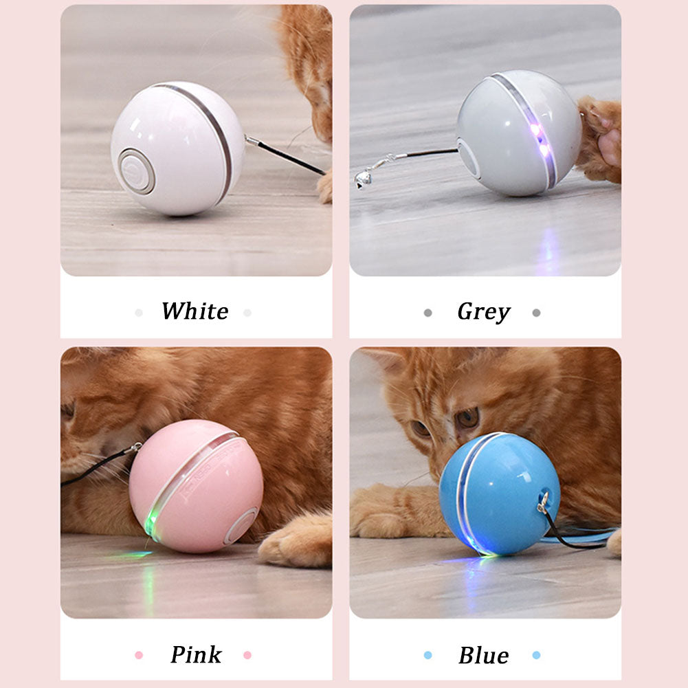 Colorful LED Laser Funny Cat Ball - Premium 0 from My Needy Pets - Just $28.95! Shop now at My Needy Pets