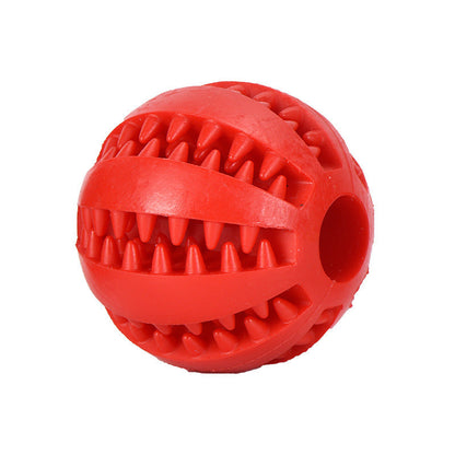 Durable Rubber Dog Dental Molar Chew Toy - Premium 0 from My Store - Just $1.79! Shop now at My Needy Pets