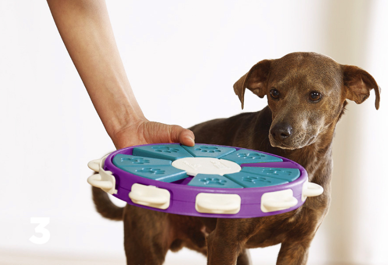 Dog educational toys - Premium 0 from My Needy Pets - Just $19.79! Shop now at My Needy Pets