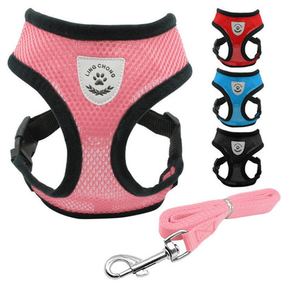 Pet Car Seat Belt Pet Leash - Premium 0 from My Needy Pets - Just $12.95! Shop now at My Needy Pets