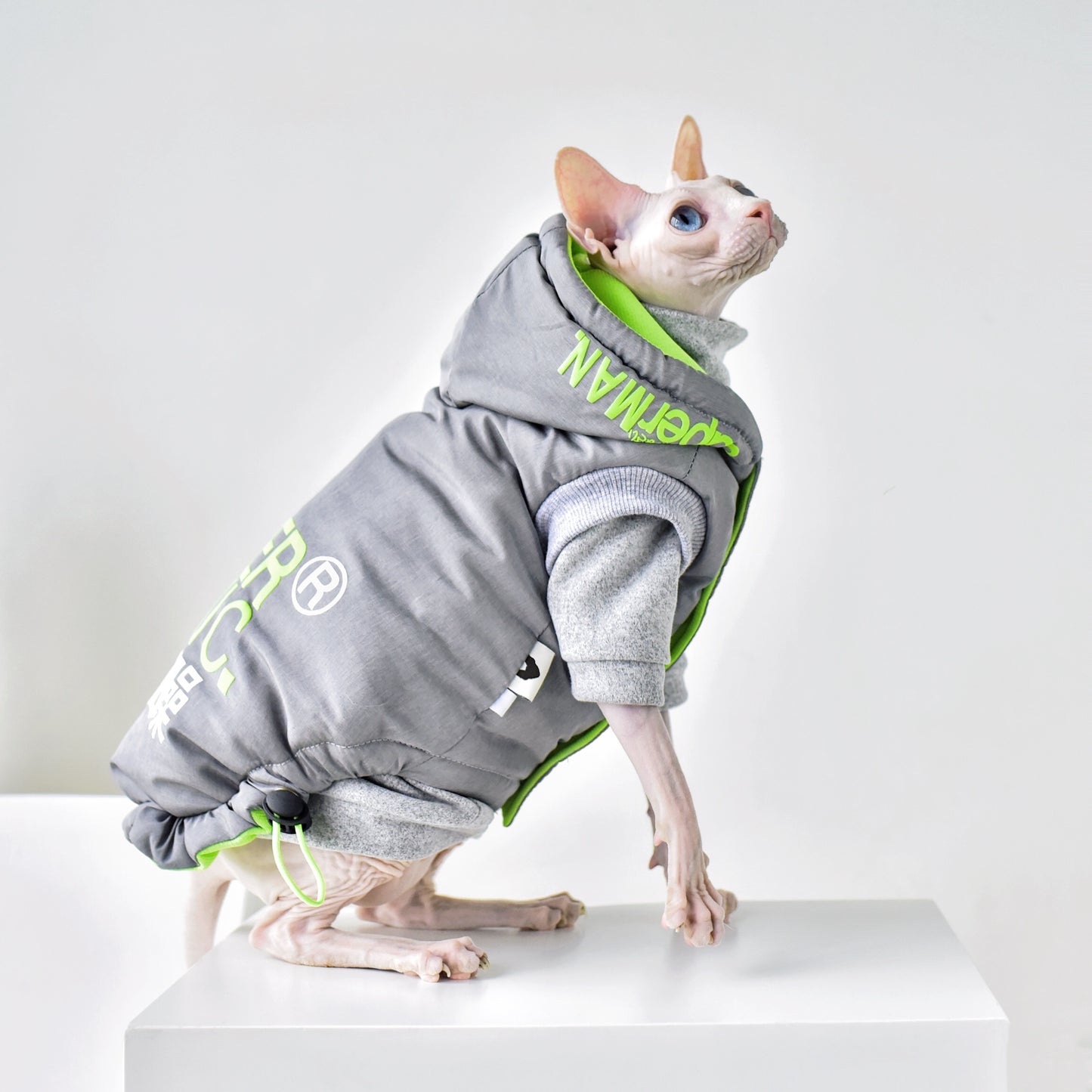 Hairless Cat Clothing With Winter Coat - Premium 0 from My Store - Just $179! Shop now at My Needy Pets