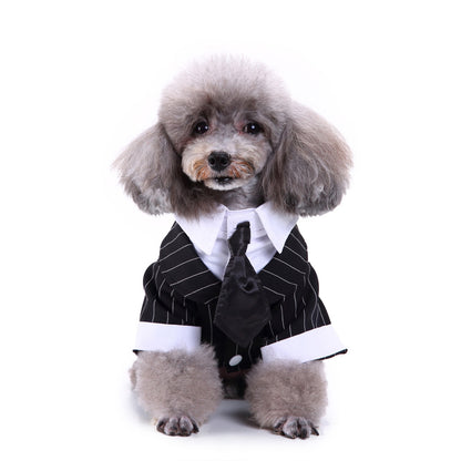 Pet dog suit - Premium 0 from My Needy Pets - Just $4.90! Shop now at My Needy Pets