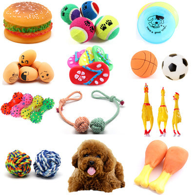 Pet dog toy ball - Premium 0 from My Store - Just $2.49! Shop now at My Needy Pets