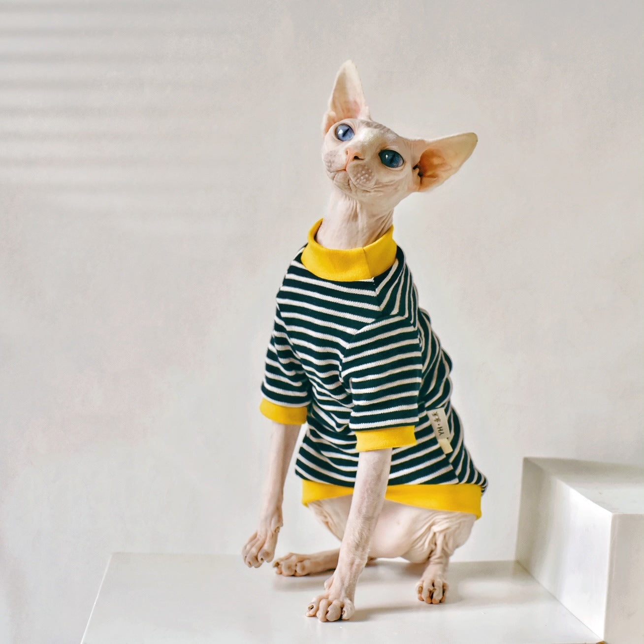 Fabric Sphinx Hairless Cat Clothing - Premium 0 from My Store - Just $32.99! Shop now at My Needy Pets