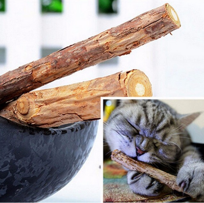 5 PCSMatatabi Toys  Catnip  Chew Toy for Pet Kitten - Premium 0 from My Needy Pets - Just $9.49! Shop now at My Needy Pets