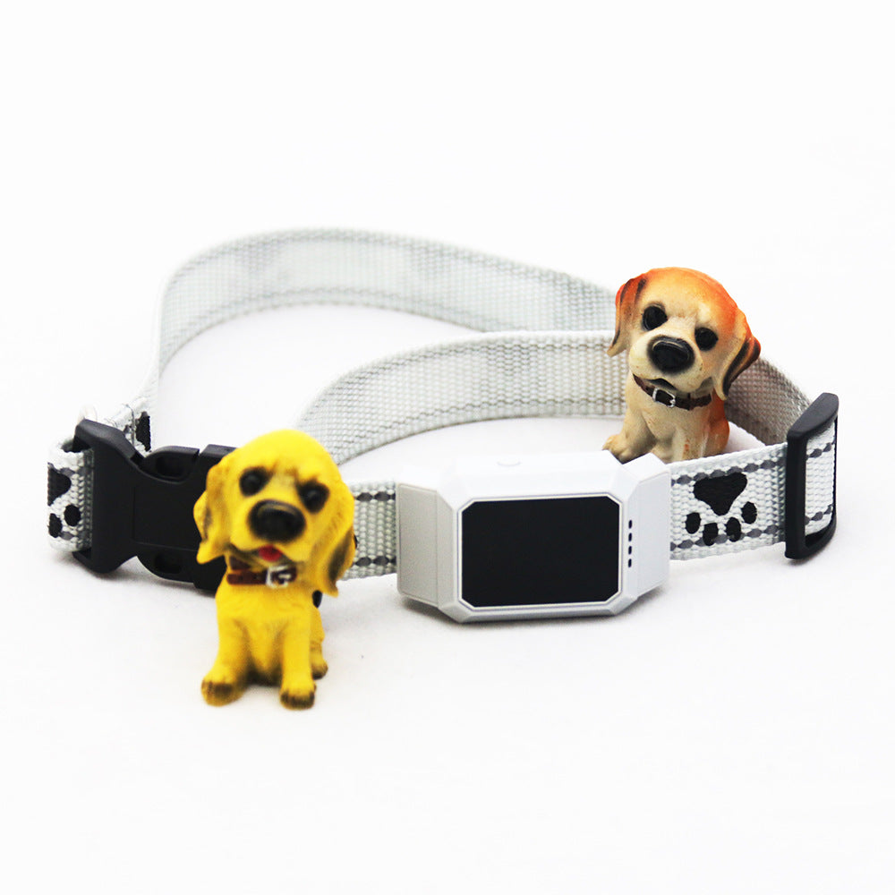 Pet collar locator - Premium 0 from My Needy Pets - Just $49.95! Shop now at My Needy Pets