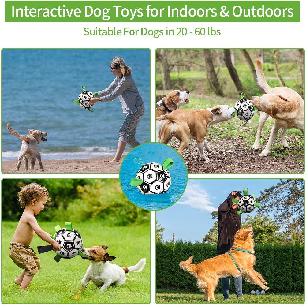 Dog Toys Interactive Pet Football Toys with Grab Tabs Dog Outdoor training Soccer Pet Bite Chew Balls for Dog accessories - Premium 5 from Pawsnplayboutique Dba My Needy Pets - Just $23.36! Shop now at My Needy Pets