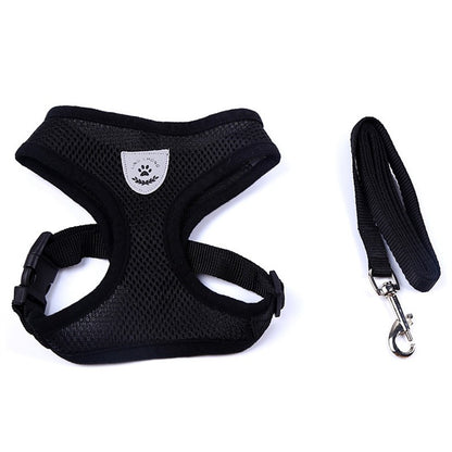 Pet Car Seat Belt Pet Leash - Premium 0 from My Needy Pets - Just $12.95! Shop now at My Needy Pets