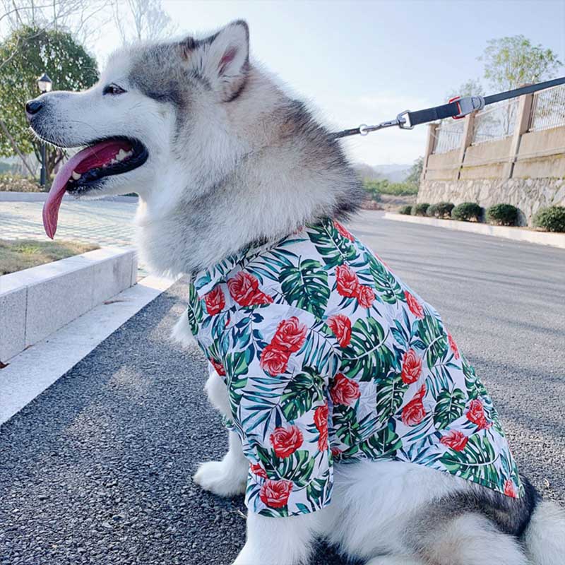 Printed pet shirt - Premium 0 from My Needy Pets - Just $12.73! Shop now at My Needy Pets