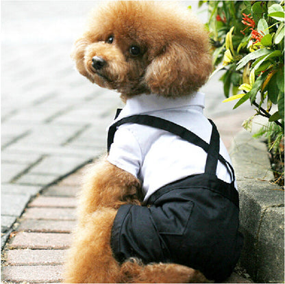 Pet suit trousers - Premium 0 from My Needy Pets - Just $2.92! Shop now at My Needy Pets