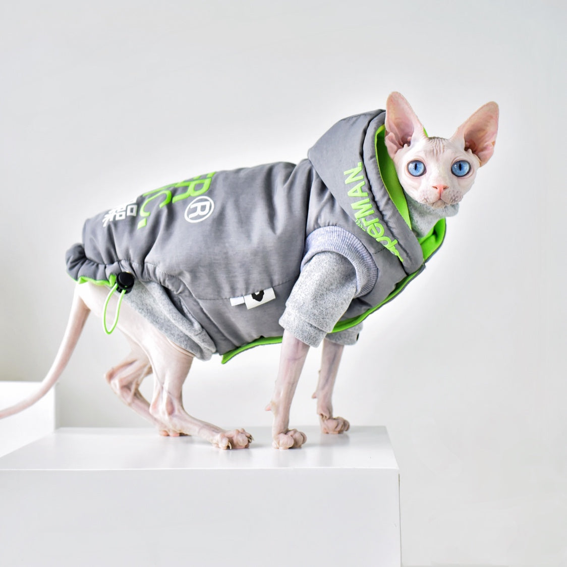 Hairless Cat Clothing With Winter Coat - Premium 0 from My Store - Just $179! Shop now at My Needy Pets