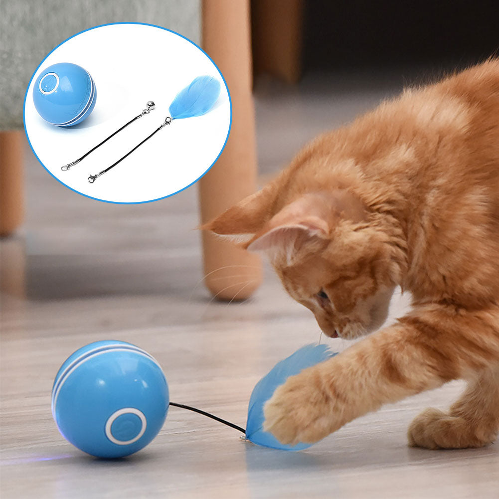 Colorful LED Laser Funny Cat Ball - Premium 0 from My Needy Pets - Just $28.95! Shop now at My Needy Pets