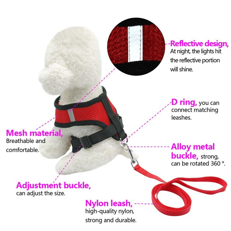 Pet Car Seat Belt Pet Leash - Premium 0 from My Needy Pets - Just $12.95! Shop now at My Needy Pets