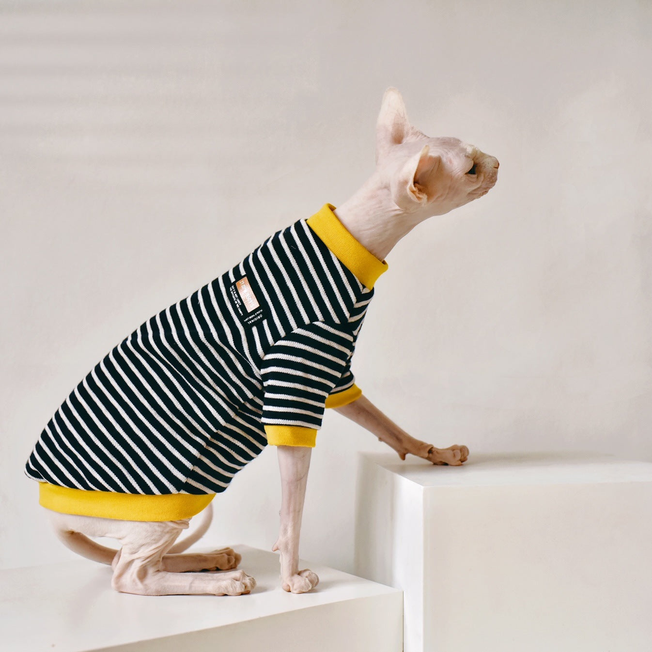 Fabric Sphinx Hairless Cat Clothing - Premium 0 from My Store - Just $32.99! Shop now at My Needy Pets