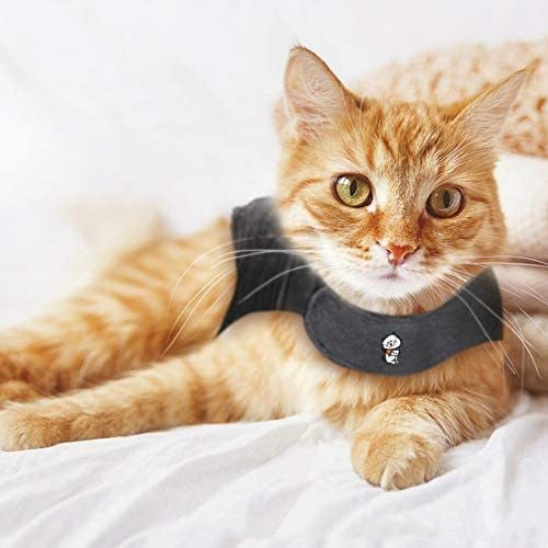 Pet Dog Clothing Cat Vest Summer - Premium 0 from My Store - Just $17.95! Shop now at My Needy Pets