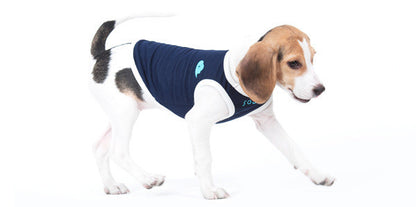 Pet Clothing Dog Vest Two-legged Clothing - Premium 0 from My Store - Just $27.95! Shop now at My Needy Pets