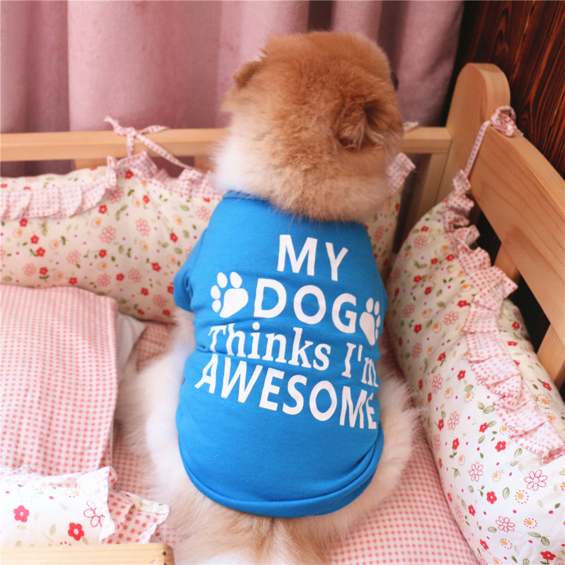 Summer pet clothes - Premium 0 from My Needy Pets - Just $6.95! Shop now at My Needy Pets