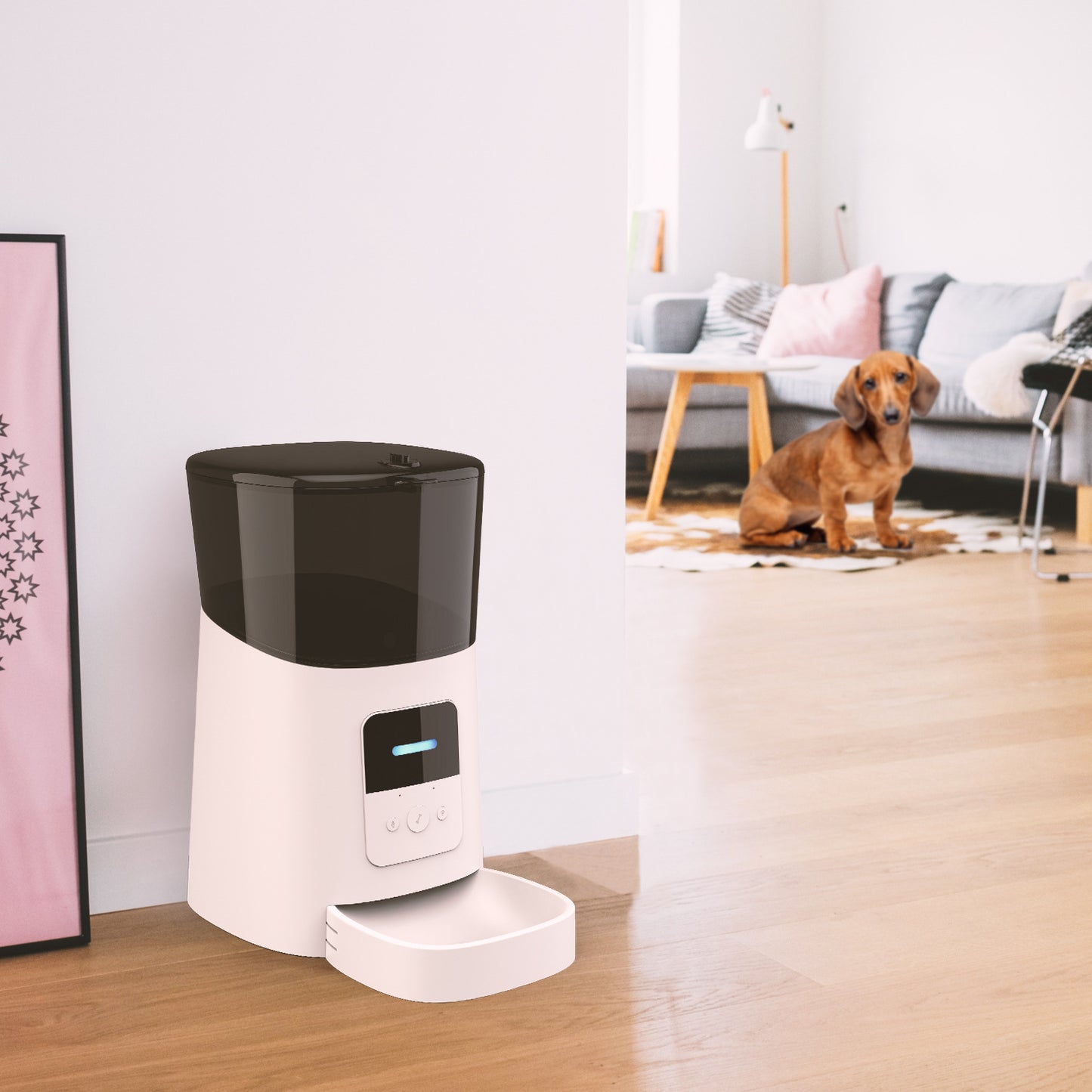 Pet feeder automatic - Premium 0 from My Needy Pets - Just $56.10! Shop now at My Needy Pets