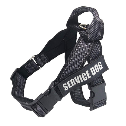 Personalize Pet harness - Premium 7 from My Needy Pets - Just $10.54! Shop now at My Needy Pets