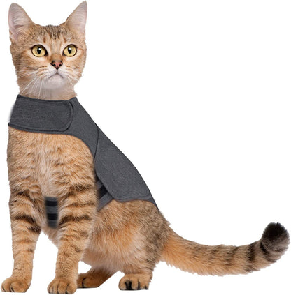 Pet Dog Clothing Cat Vest Summer - Premium 0 from My Store - Just $17.95! Shop now at My Needy Pets